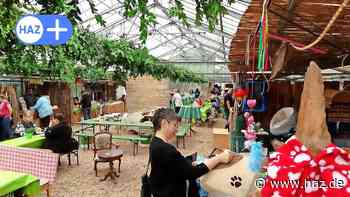 Flohmarkt Wilkenburg und Sommerfest: Veranstaltungstipps für Hemmingen am Wochenende - HAZ