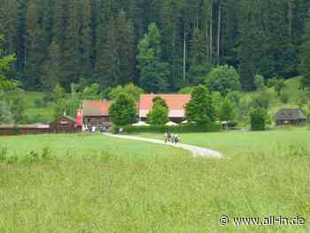 Kampagne für den Klimaschutz: Anmeldung zum STADTRADELN 2022: Landkreis Lindau zum ersten Mal dabei - Lindau - all-in.de - Das Allgäu Online!