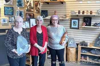 Painter, wood carver and jeweller share spotlight at Nanaimo’s Art 10 Gallery - Nanaimo Bulletin