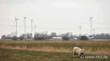 Batteriefabrik in Heide: So kann Itzehoe von Northvolt Mega-Investition profitieren - shz.de