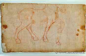 Esperti a confronto sul "cavallo ideale" di Leonardo da Vinci - Agenzia askanews
