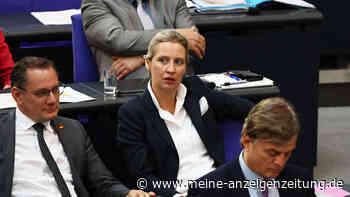 Rechts oder rechts: 600 AfD-Delegierte haben die Wahl