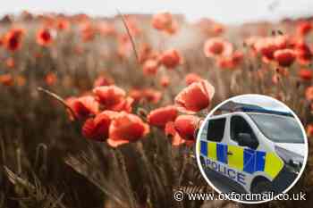 Poppy field on A40, Burford, causes traffic havoc