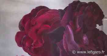 Quand la Biennale des arts de Nice met la fleur au fusil - Le Figaro