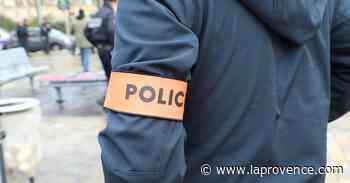 Nice : un homme interpellé puis incarcéré pour avoir massacré et tué un chien - La Provence