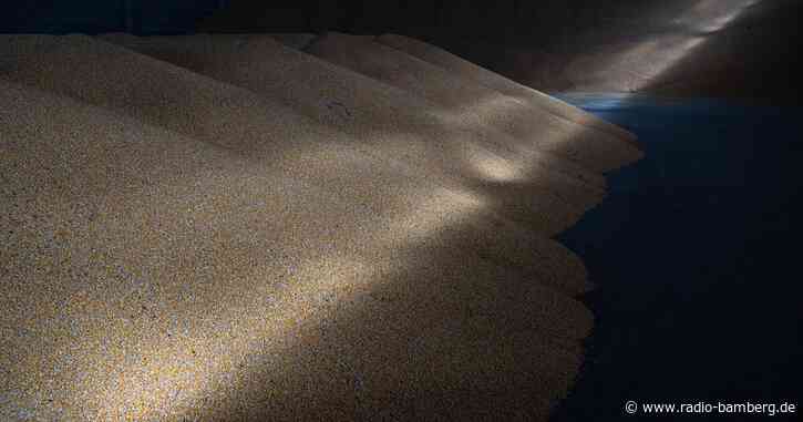 Kreml: Russland in Getreide-Krise bereit zu Kooperation