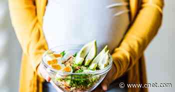 Pregnancy Nutrition: What Foods to Avoid When Pregnant     - CNET