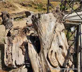 Danneggiato un tronco artistico a Largo San Giacomo, interviene Puli-Amo Messina - Tempo Stretto