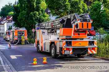 Brand in Esslingen - Essen auf Herd löst Großeinsatz aus - esslinger-zeitung.de
