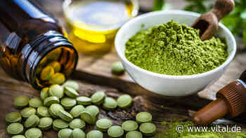 Ernährung 2022: 3 Gründe, warum Sie mehr Moringa essen sollten - Vital