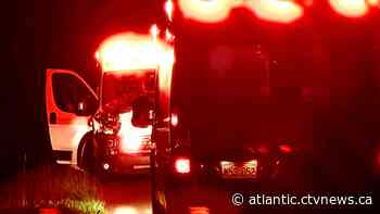 New Brunswick ambulance collides with moose near Moncton - CTV News Atlantic