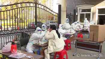 Angst vor Weltuntergang? Apokalypse Institut Heidelberg - SWR Aktuell