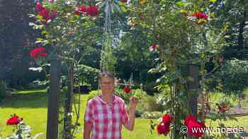 Offenes Gartentor 2022: Zwei Gartenbesitzer aus Neuenkirchen zeigen ihre Gärten - NOZ