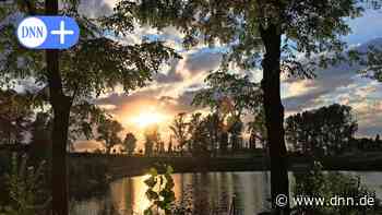 Badeseen in Dresden und Umgebung: Wo man jetzt kostenlos baden gehen kann - Dresdner Neueste Nachrichten