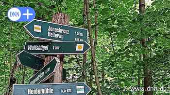 Dresden: Warum der Stadtrat den Albertpark verwildern lässt - Dresdner Neueste Nachrichten