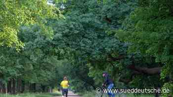 Ein Gewächshaus für die Forschung: Neubau startet in Dresden - Süddeutsche Zeitung - SZ.de