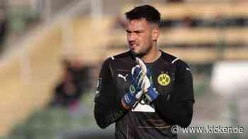 "Nächstes Kapitel" Dynamo: Drljaca wechselt nach Dresden - kicker