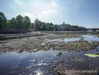 Siccità, chiesto il razionamento dell’acqua in cento comuni del Piemonte. Allarme ozono - Corriere della Sera