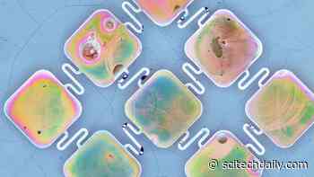 Solar Powered Medical Devices: Sponge-Like Solar Cells for Better Pacemakers