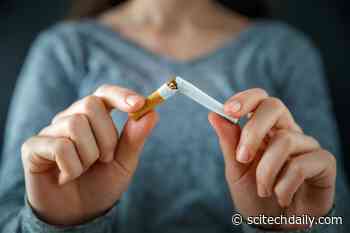 E-Cigarettes About Twice As Effective as Nicotine Patches in Helping Pregnant Women Quit Smoking