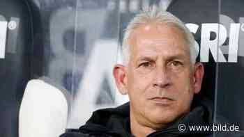 Waldhof Mannheim: Neidhart „Auf Mittelmaß hat hier niemand Bock!“ - BILD