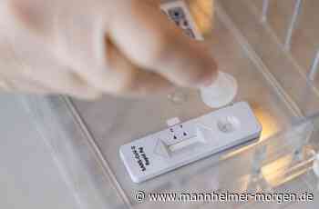 232 Neuinfektionen mit Coronavirus in Mannheim - Inzidenzen in Region leicht schwankend - Deutschland & Welt - Mannheimer Morgen