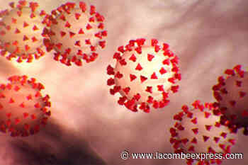 Alberta reports nearly 100 fewer people now in hospital with COVID - Lacombe Express