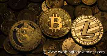 Bitcoin crash wipes out El Salvador's cryptocurrency reserves - Washington Examiner