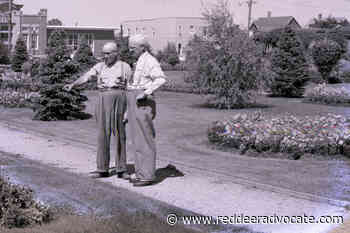 DAWE: Red Deer used to be ‘The Garden City’ - Red Deer Advocate