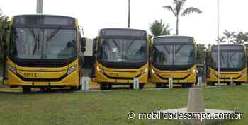 Transporte escolar da rede municipal de Bertioga recebe novos ônibus - Mobilidade Sampa