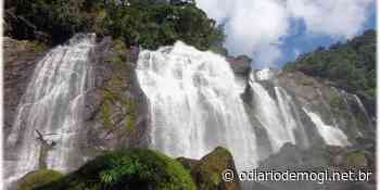 Bombeiros resgatam grupo que estava perdido na serra de Bertioga - O Diário de Mogi