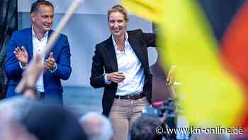 Showdown vor dem Parteitag: Wer führt künftig die AfD?