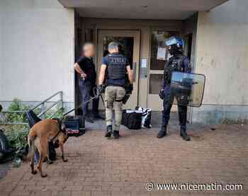 Coup de filet anti-stups à Cannes: 80 policiers déployés, 8 personnes interpellées