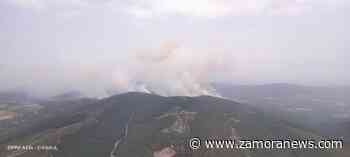 UGT Zamora exige el riesgo alto de incendios y que “se amplíen los medios para evitar que esta situación se repita una y otra vez” - Zamora News