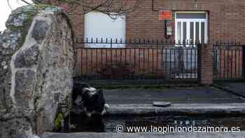 Zamora registró 1.892 muertes más que nacimientos en 2021 y sigue en caída - La Opinión de Zamora