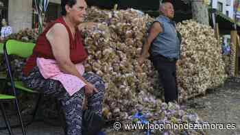 La Feria del Ajo de Zamora regresa a las Tres Cruces con novedades - La Opinión de Zamora