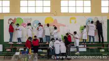 Un colegio de Zamora capital, entre los diez mejores del mundo "por sus hábitos saludables" - La Opinión de Zamora