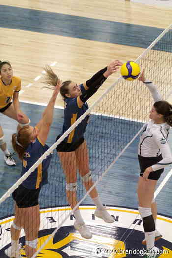 BU volleyball draws road-heavy start - The Brandon Sun