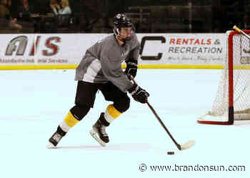 Flory eager to achieve WHL dream - The Brandon Sun