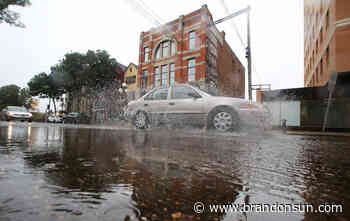 Does Brandon really need photo radar? - The Brandon Sun