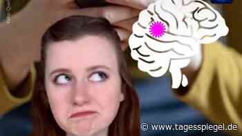 Die ARD im Internet: "Wir nutzen die gute Seite der Technik" - Tagesspiegel