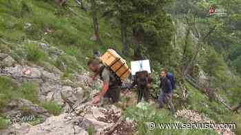 Alpine Bienen am Traunstein - ServusTV - ServusTV