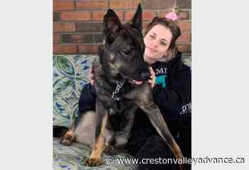 Search continues for woman, dog near Kelowna creek during flood emergency – Creston Valley Advance - Creston Valley Advance