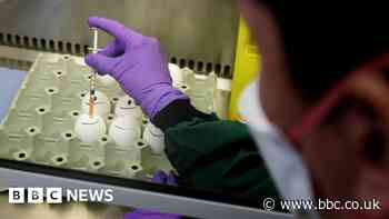 Defra Weybridge animal disease lab fighting bird flu needs rebuild - report