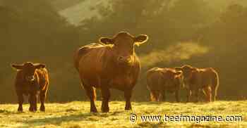 Effective strategies to control internal parasites