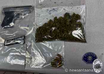 Tustin police officers made a drug bust after pulling over a convicted felon - New Santa Ana