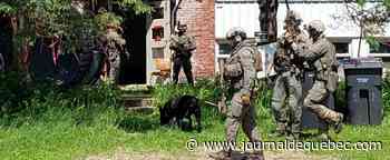 Opération antiterrorisme: la GRC mène des perquisitions à Saint-Ferdinand et Plessisville