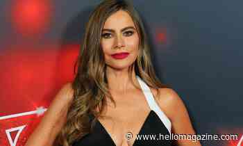 AGT's Sofia Vergara renders fans speechless with unexpected photo of son Manolo - HELLO!