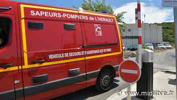 Frontignan : soupçon d'intoxication alimentaire au tournoi de rugby - Midi Libre