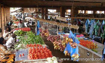 Residents of Rivers, Abia worst hit as Russia war drives food inflation - Ripples Nigeria